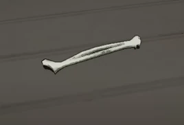 Bone