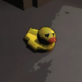 Duck