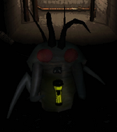 A Hoarding Bug stealing a Pro-flashlight.