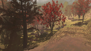 Adamance's main valley