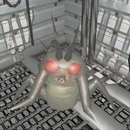 Hoarding Bug standing still