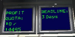 Profit Quota