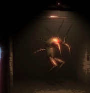 An angered Hoarding Bug flying.