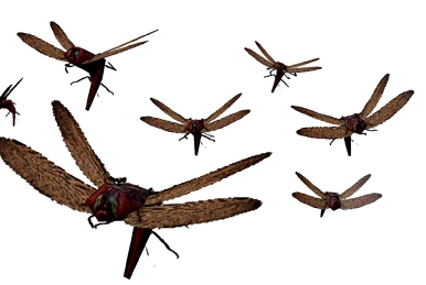 Sea Rover | Mega Bloks Pyrates Wiki | Fandom