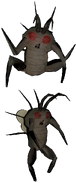 Hoarding Bug render