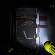 A bunker spider with its prey