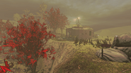 Ship landing site