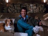 Sam the Dog/Gallery