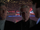 Peter McAllister/Gallery