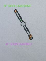 5F - MOKA-IKEGAMI.jpg