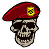 Decal-Drill Sergeant.png