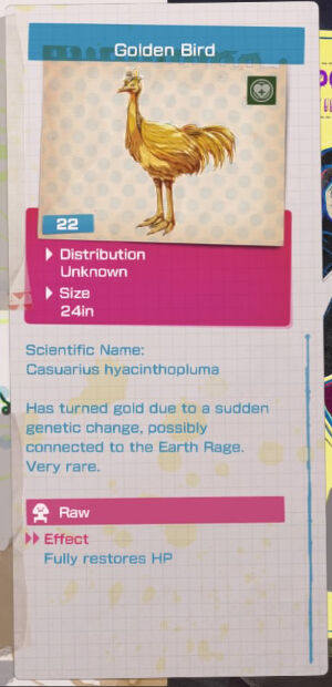 Golden Bird Info.jpg