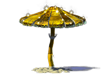 Golden Parasol Shroom