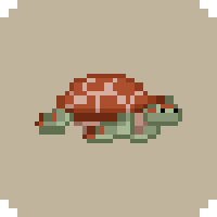 Turtle | Let's Build a Zoo Wiki | Fandom