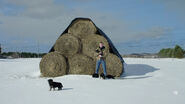 Wayne at the hay rolls