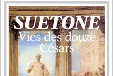 image not described image