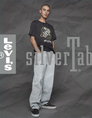 SilverTab | Levi's Wiki | Fandom