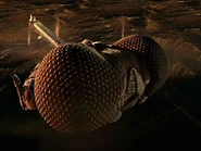 The Lexx 002.jpg (92 Кб) The Lexx 002