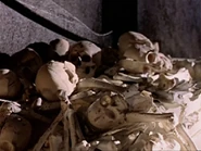 The Cleansing 001.jpg (83 KB) The Cleansing