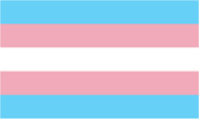 Trans flag.png