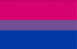Bisexual pride flag.jpg