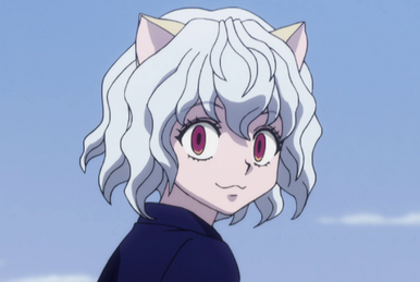 hunterxhunter #killua #alluka #trans #anime #fy Alluka foi confirmada