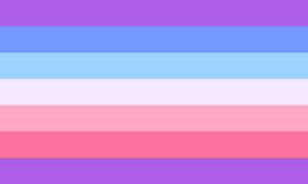 Bandera chica-chico.