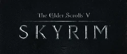 Skyrim Cover.jpg