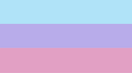 Binsexual Flag