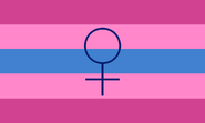 La segunda bandera Feminino.