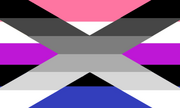 Omnistraight og