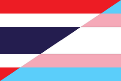 Kathoey flag