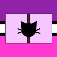 Bandera neknovelo.
