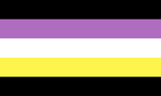 Anonbinary flag