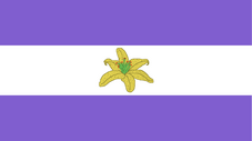 Pluralian flag 2