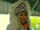 Chad Michaels