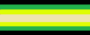 Etbinariisexual flag
