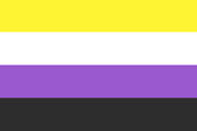 Non binary flag 22