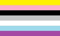 Una bandera multisexual alternativa, creadora desconocida.