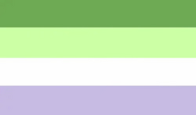 Deligosexual flag