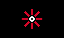 Erassexual flag