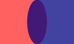 Communicosexual flag 1
