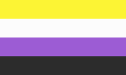Nonbinary flag.svg