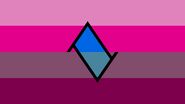 Bandera retrochica.