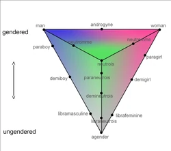 Genderpyramid.png