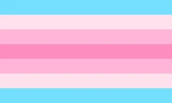 Transfeminine.png