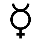 3.Geschlecht (Divers)