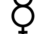 3. Geschlechtseintrag