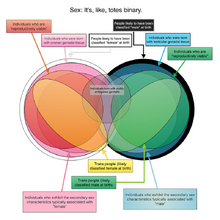 Sex diagram