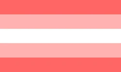 Travesti1 flag.jpg